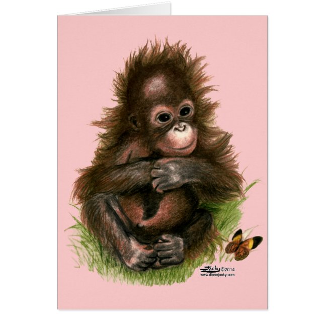 Orangutan Baby and Butterfly (Vorne)
