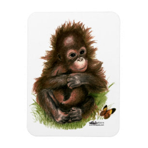 Orangutan Baby and Butterfly Magnet