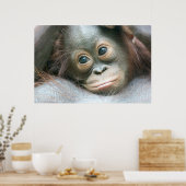Orangutan Baby, das sich an seine Mutter klammert Poster (Küche)