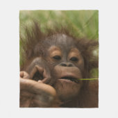 Orangutan Baby Fleecedecke (Vorderseite)