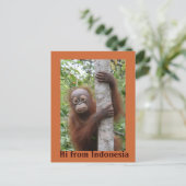 Orangutan Baby Hi aus Indonesien Postkarte (Stehend Vorderseite)