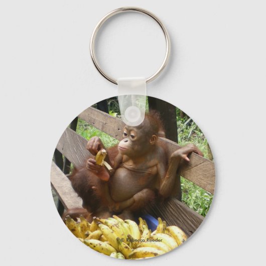 Orangutan Baby im BorneoButton-Schlüsselanhänger Schlüsselanhänger (Vorderseite)