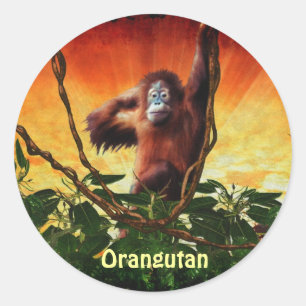 Orangutan Baby & Jungle Great Ape Primat Stickers