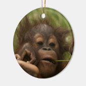 Orangutan Baby Keramik Ornament (Links)