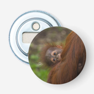 Orangutan Baby mit Flüchtige Blick Flaschenöffner