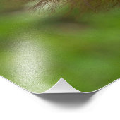 Orangutan Baby mit Flüchtige Blick Fotodruck (Ecke)