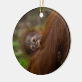 Orangutan Baby mit Flüchtige Blick Keramik Ornament (Links)