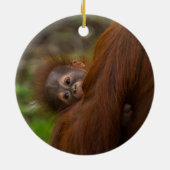 Orangutan Baby mit Flüchtige Blick Keramik Ornament (Hinten)