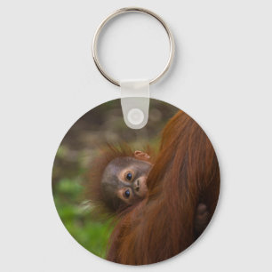 Orangutan Baby mit Flüchtige Blick Schlüsselanhänger