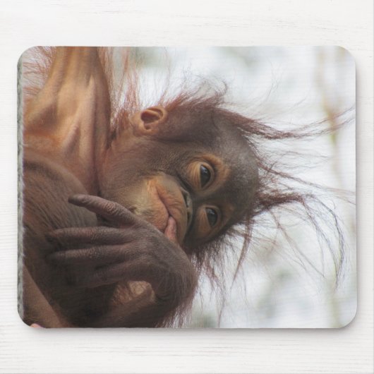 Orangutan Baby Mousepad (Vorne)