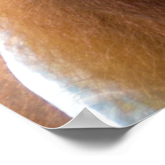 Orangutan Baby Poster (Ecke)