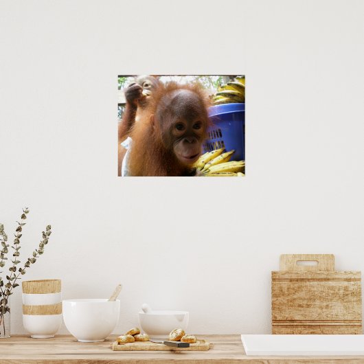 Orangutan Baby Poster (Küche)