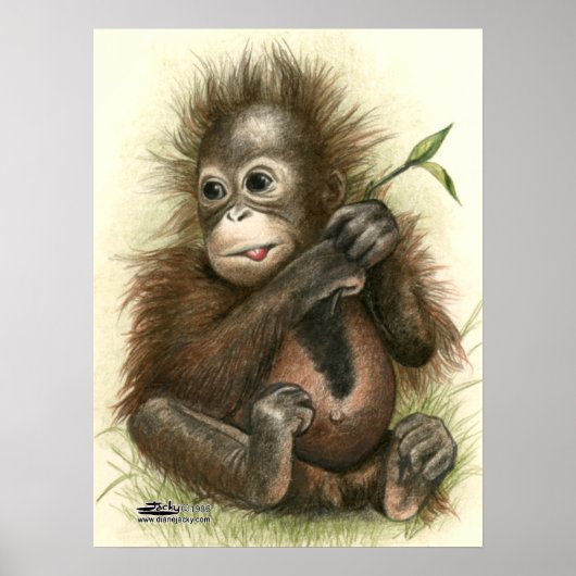 Orangutan Baby With Leaves Poster (Vorne)