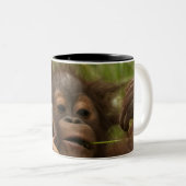 Orangutan Baby Zweifarbige Tasse (VorderseiteRechts)