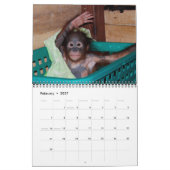 Orangutan Babys Kalender (Feb 2027)