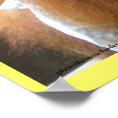 Orangutan Babys Lunch Poster (Ecke)