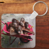 Orangutan Babys Schlüsselanhänger (Rückseite)