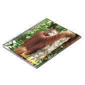 Orangutan Borneo Regenwald Notizblock (Linke Seite)
