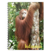 Orangutan Borneo Regenwald Notizblock (Vorderseite)