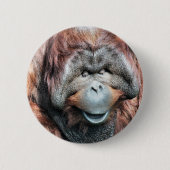 ORANGUTAN BUTTON (Vorderseite)