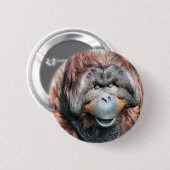 ORANGUTAN BUTTON (Vorne & Hinten)