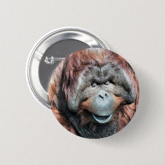 ORANGUTAN BUTTON (Vorne & Hinten)