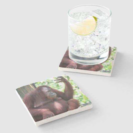 Orangutan Contemplation Steinuntersetzer (Seitenansicht)