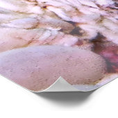 Orangutan Crab Gilis Poster (Ecke)