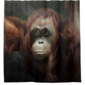 Orangutan Duschvorhang (Vorderseite)