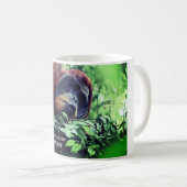 Orangutan entspannend in Baum Kaffeetasse (VorderseiteRechts)