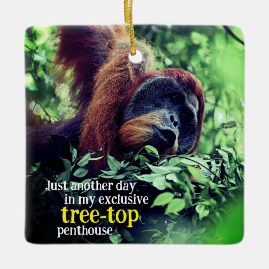 Orangutan entspannend in Baum Keramikornament (Vorderseite)
