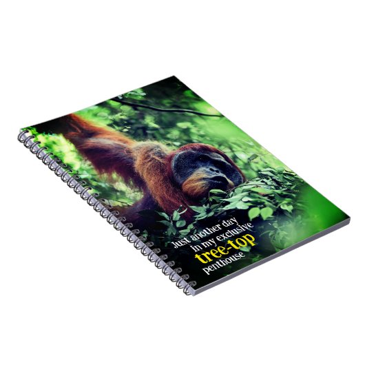 Orangutan entspannend in Baum Notizblock (Rechte Seite)