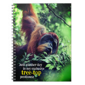 Orangutan entspannend in Baum Notizblock (Vorderseite)
