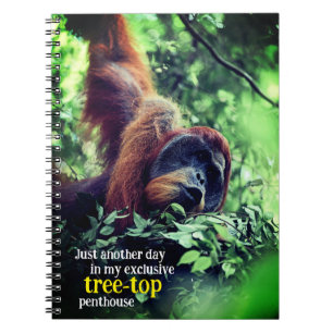 Orangutan entspannend in Baum Notizblock