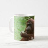Orangutan essen kaffeetasse (Vorderseite Links)