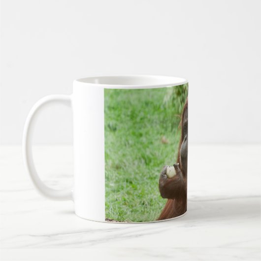 Orangutan essen kaffeetasse (Links)