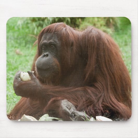 Orangutan essen mousepad (Vorne)
