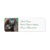 Orangutan Family Mailing Labels (Vorne)
