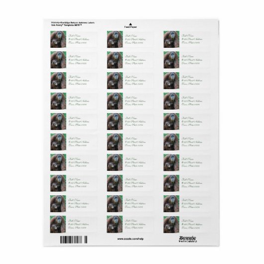 Orangutan Family Mailing Labels (Vorne)