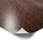 Orangutan Fotodruck (Ecke)