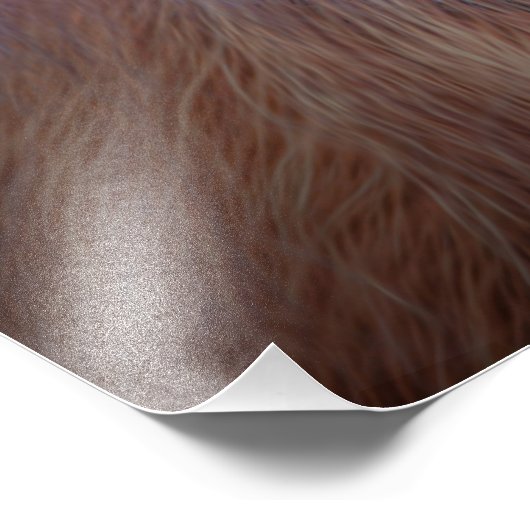 Orangutan Fotodruck (Ecke)