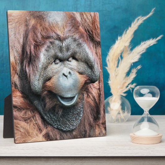 ORANGUTAN FOTOPLATTE (Seite)