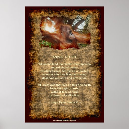 Orangutan gefährdete Wildtiere Dekret Poster (Vorne)