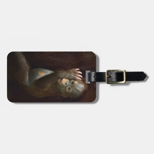 Orangutan Gepäckanhänger (Vorderseite horizontal)
