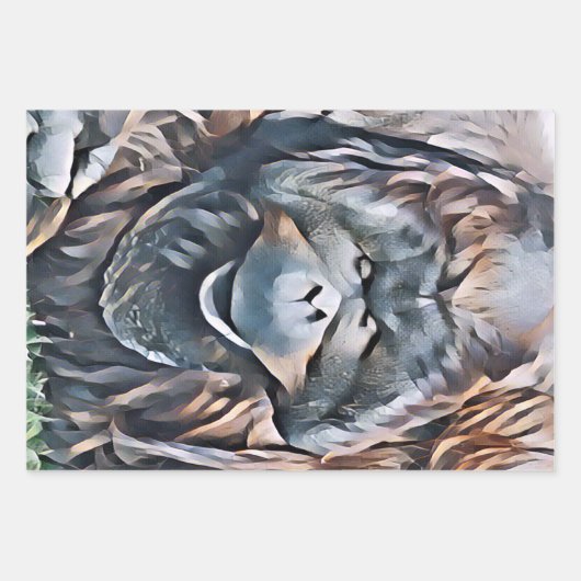 ORANGUTAN GESCHENKPAPIER SET (Vorderseite 3)