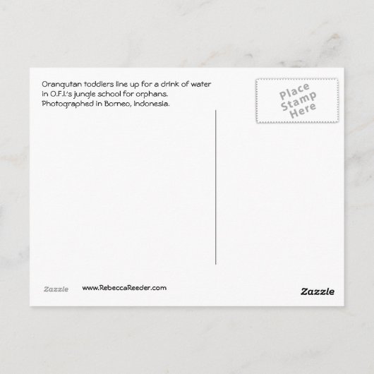 Orangutan Girlfriends Postkarte (Rückseite)