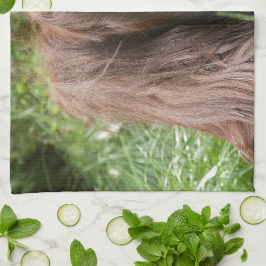 Orangutan Handtuch (Gefaltet)