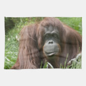 Orangutan Handtuch (Horizontal)