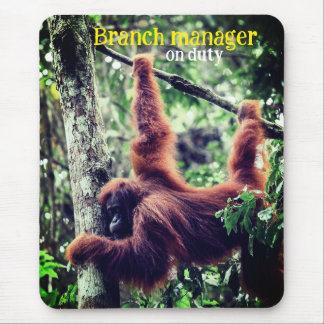 Orangutan hängt in Baum Mousepad