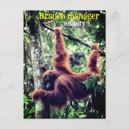 Orangutan hängt in Baum Postkarte